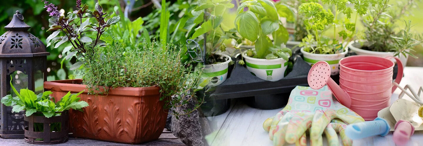 Herb Gardening Site